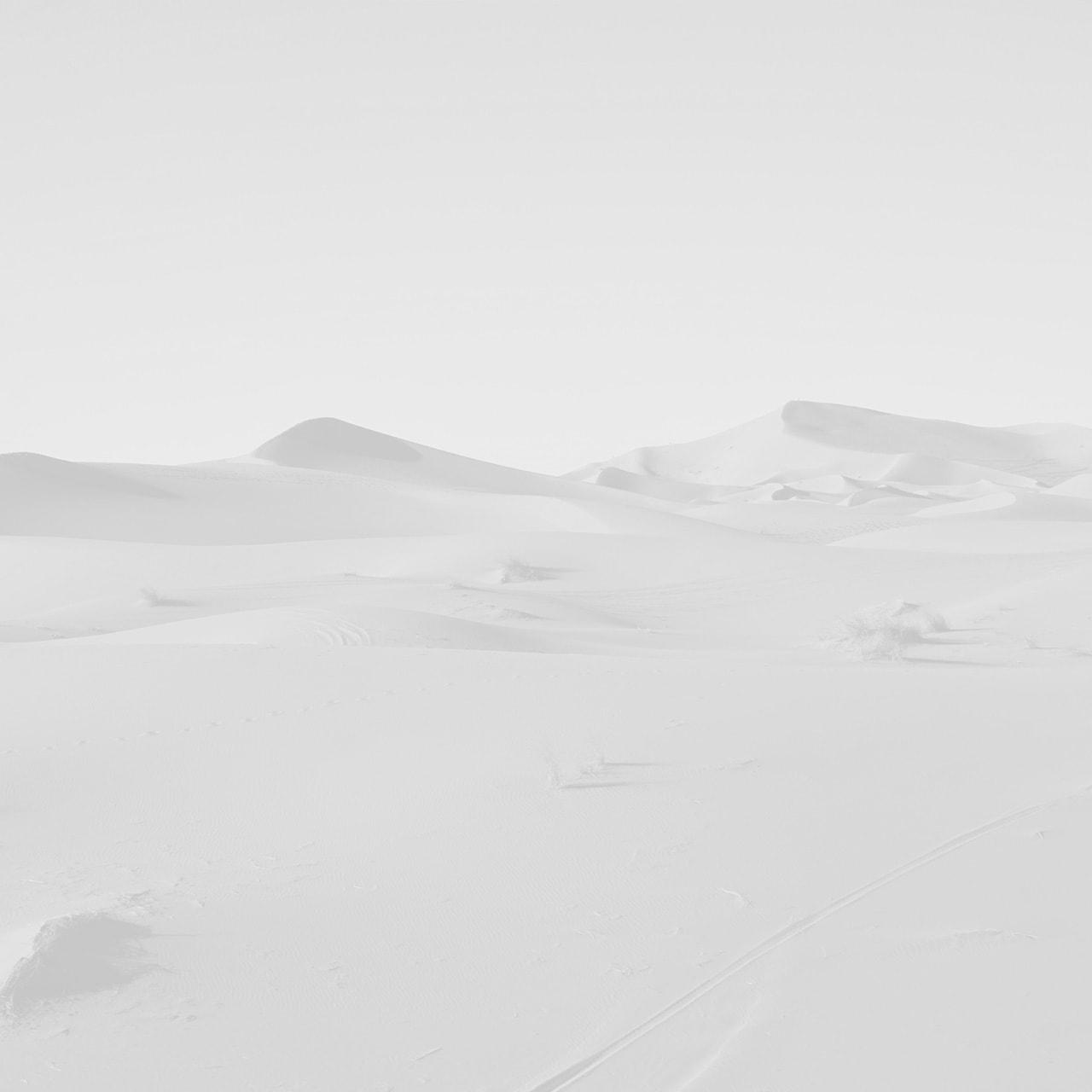 wireframe placeholder