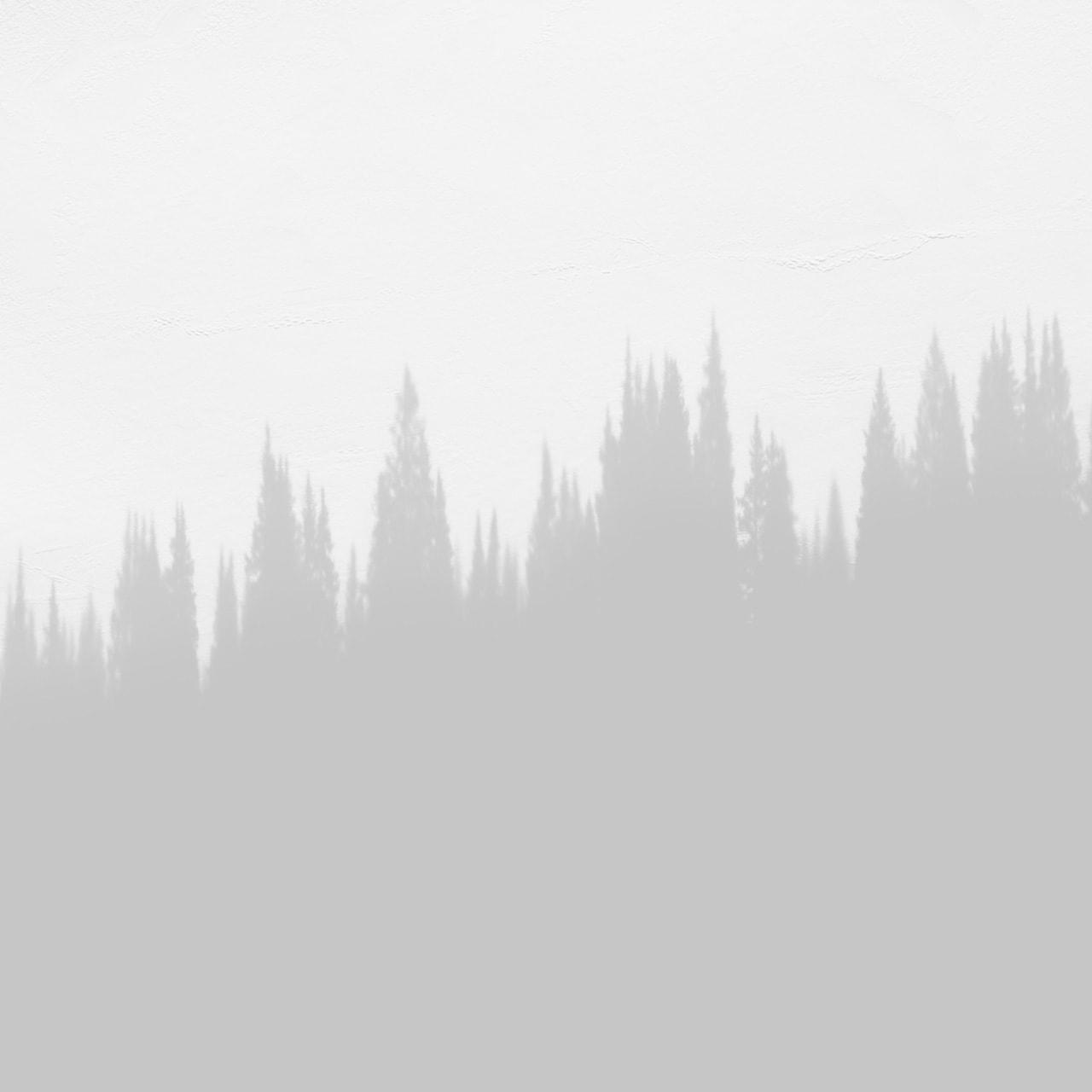 wireframe placeholder